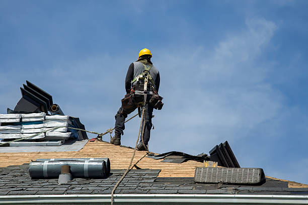 Professional Roof Replacement technician working in Ann Arbor, MI